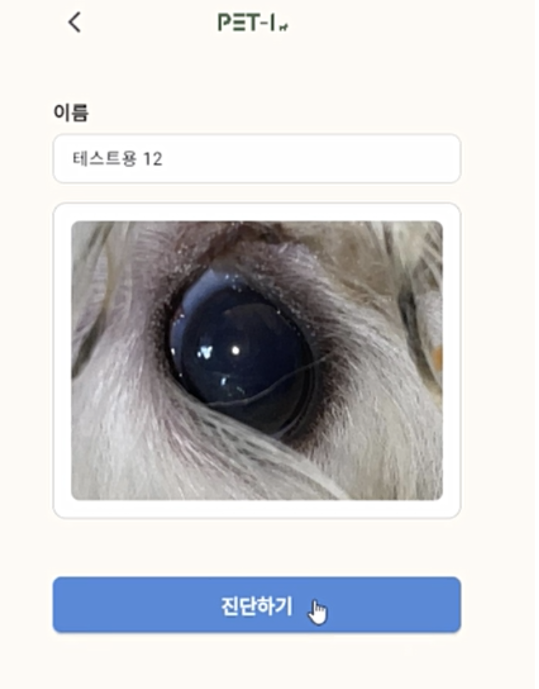 PET-I 진단 요청 화면